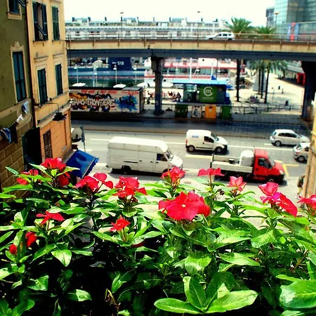 Apartamento Ipazia House *
